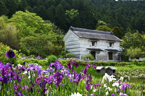 加茂荘花鳥園の写真