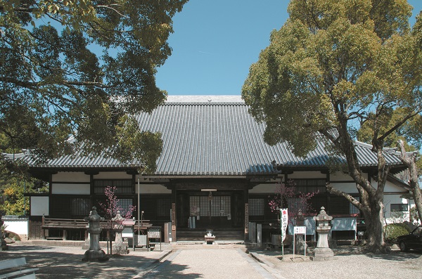 大樹寺の写真
