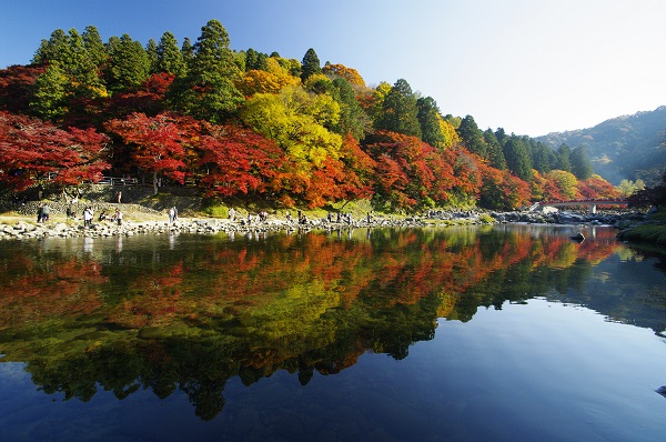 巴川の水鏡の写真