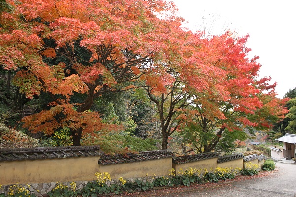 松平郷園地の写真