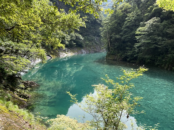 大日嵓付近の写真