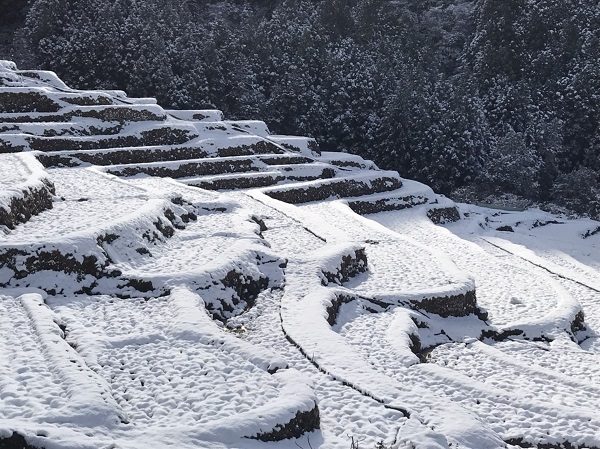 雪化粧の写真