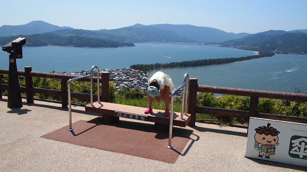 天橋立傘松公園よりの写真