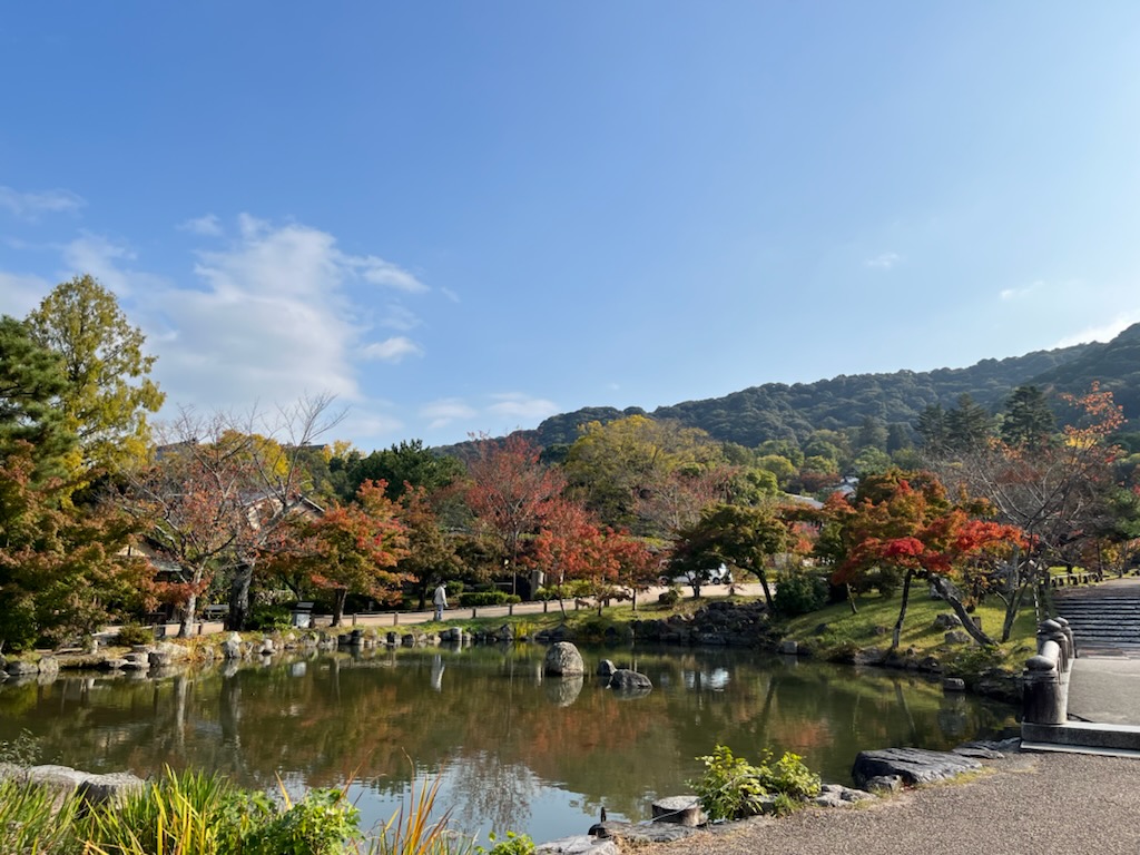 円山公園（秋）の写真