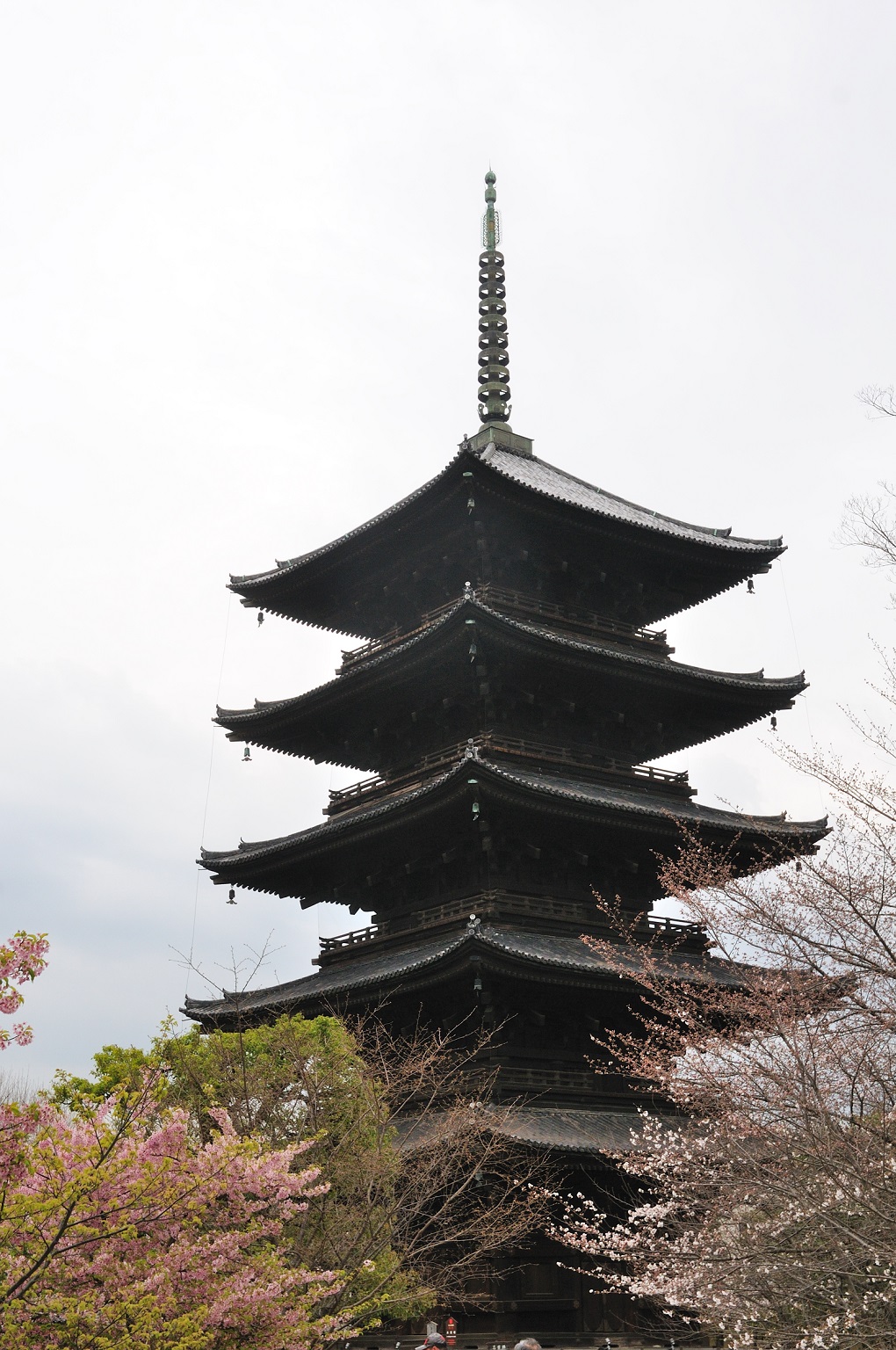 五重塔の写真