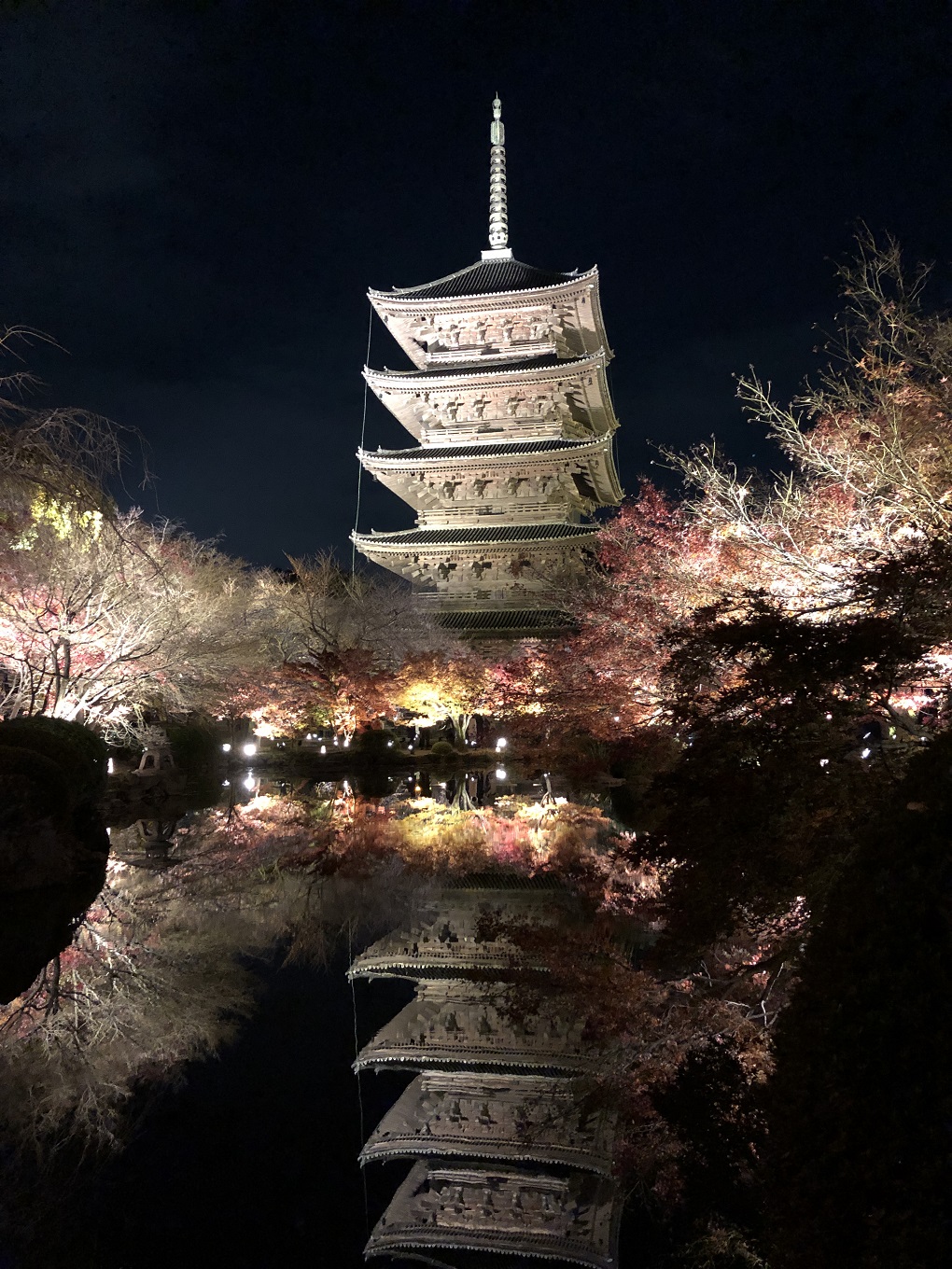 ライトアップされた五重塔の写真