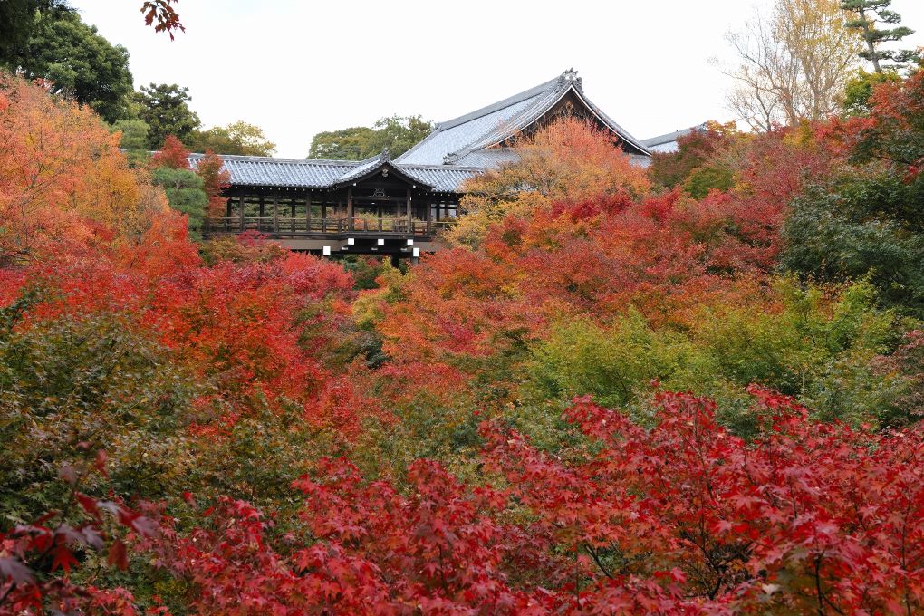 通天橋の写真