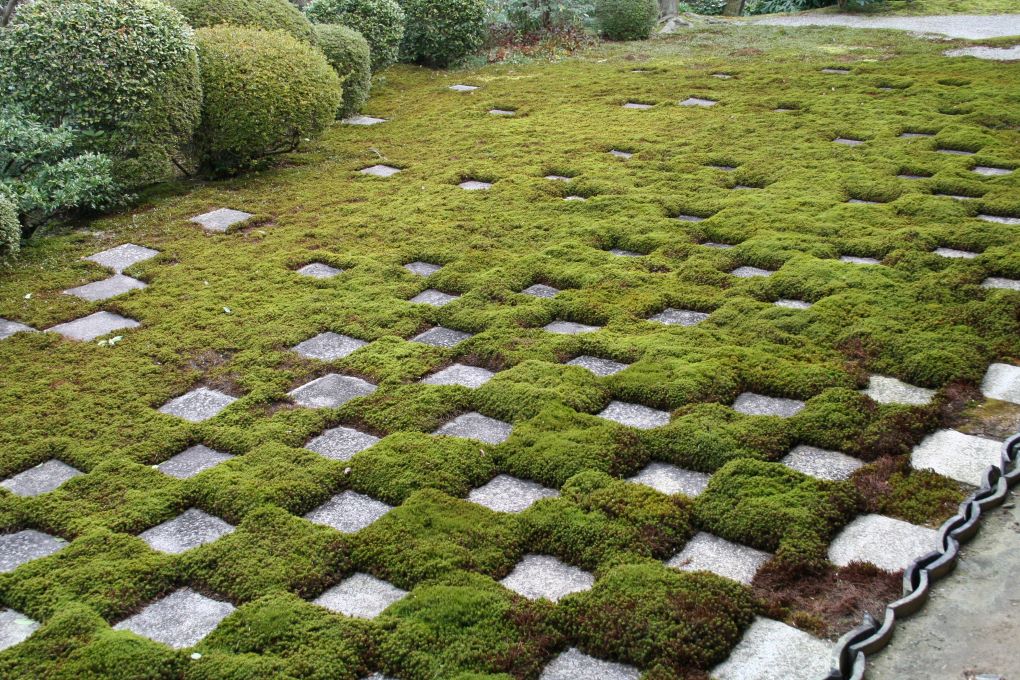 本坊庭園（方丈）の写真