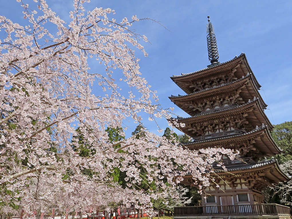 醍醐寺の写真