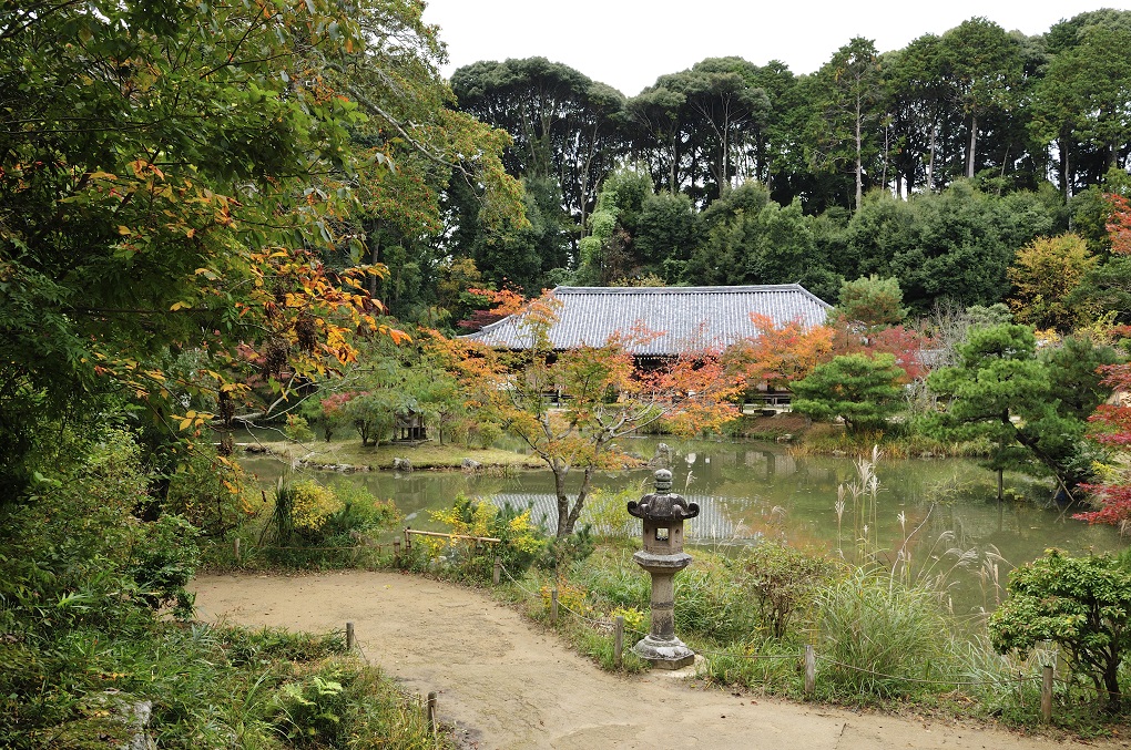 浄瑠璃寺の写真