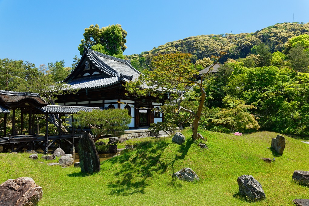 東山を借景とする庭園の写真