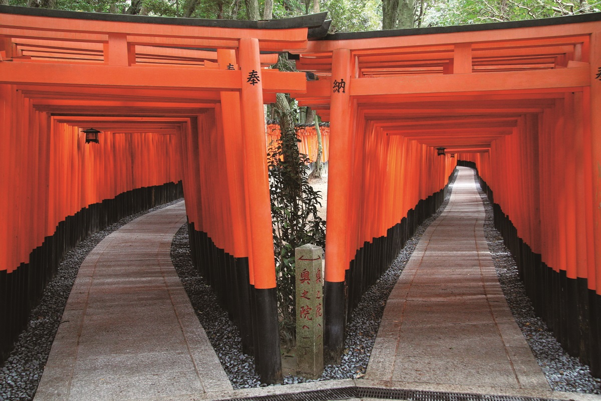 千本鳥居の写真