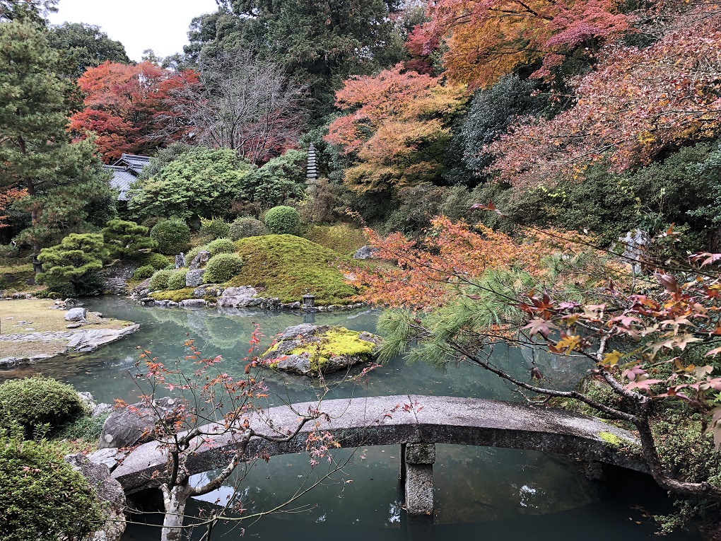相阿弥の庭の写真