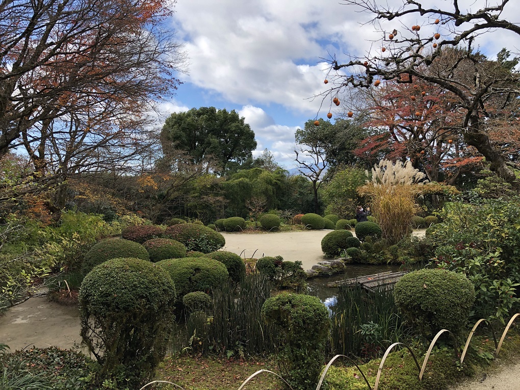 庭園の写真