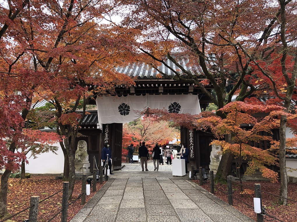 永観堂（禅林寺）の写真