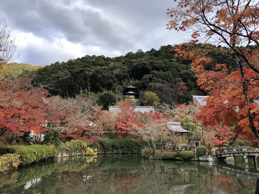 永観堂（禅林寺）の写真