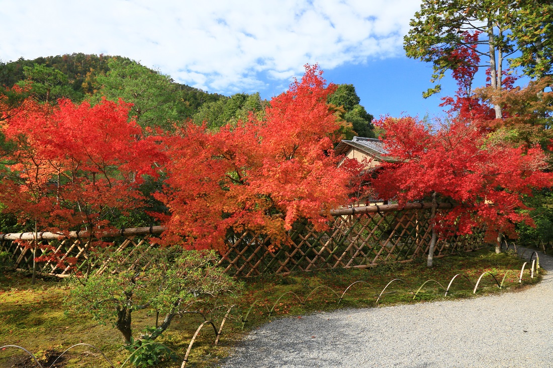 光悦寺の写真