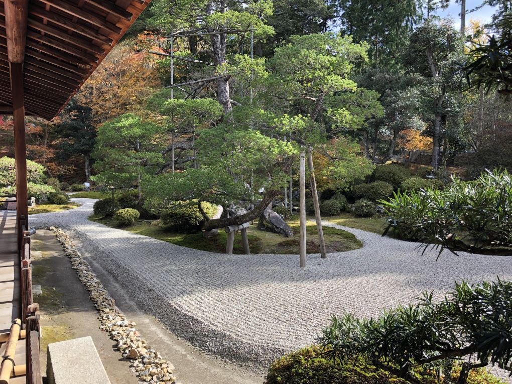 書院庭園の写真