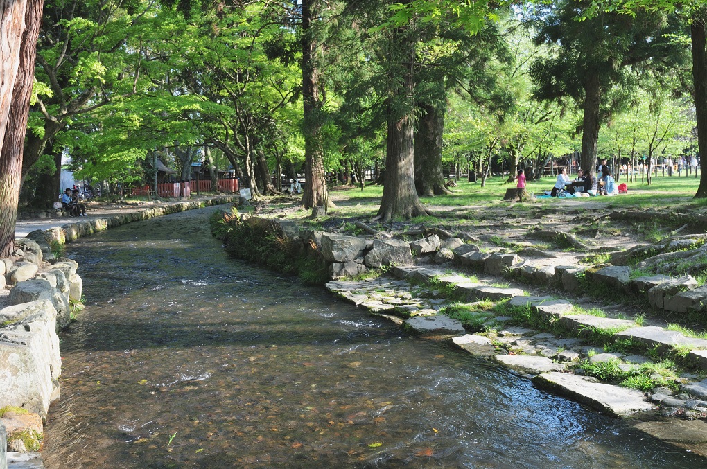 ならの小川の写真