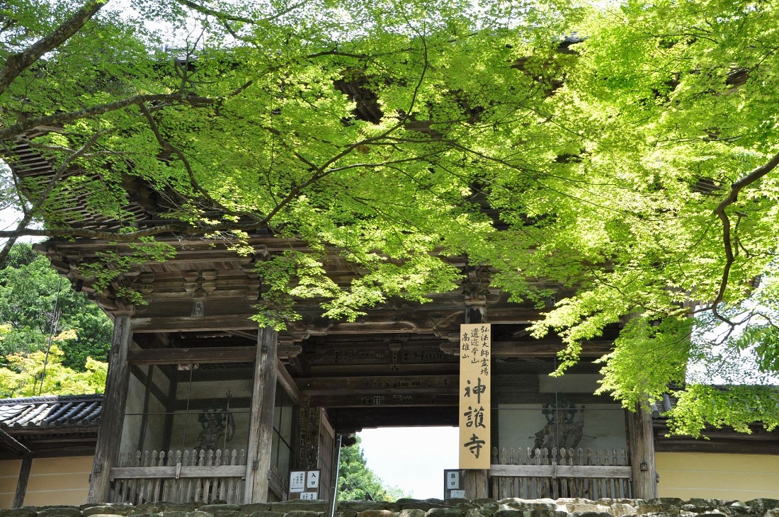 神護寺の写真