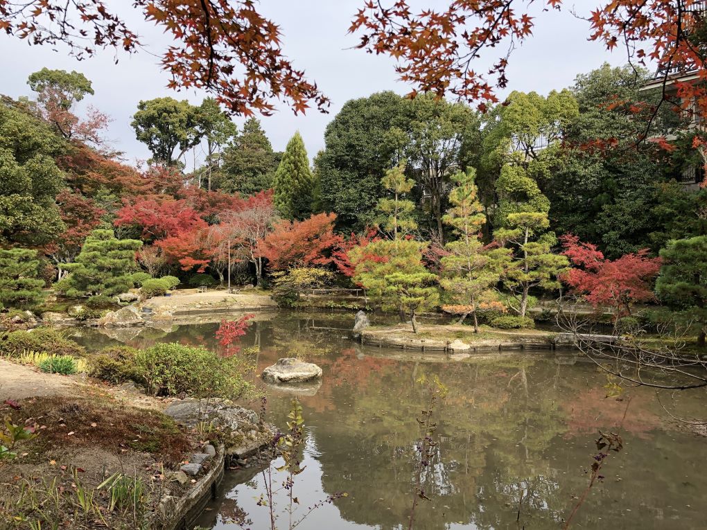 法金剛院庭園の写真