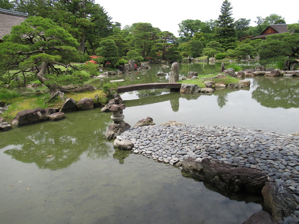 天橋立の写真