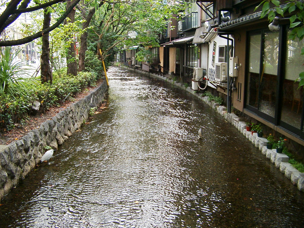 白川の写真