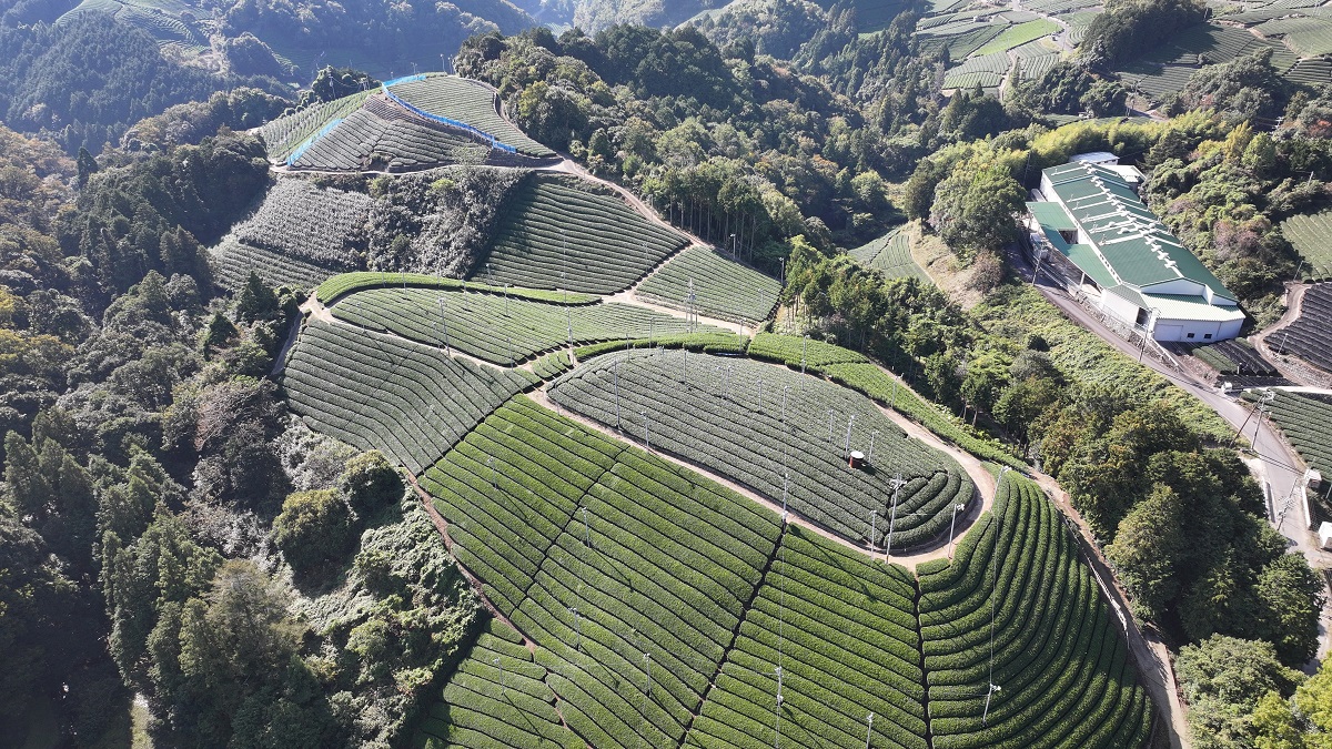 白栖地区全景の写真