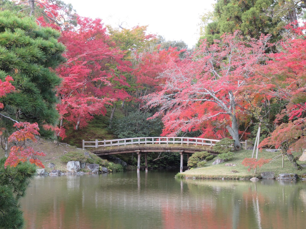南池の写真