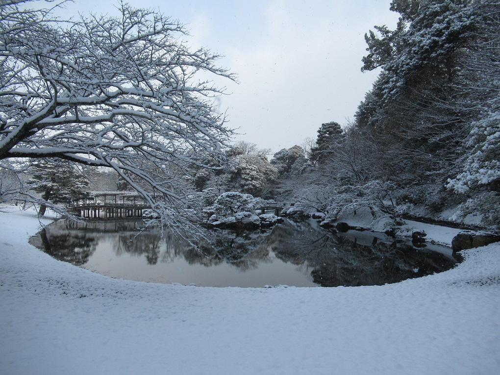 南池の写真