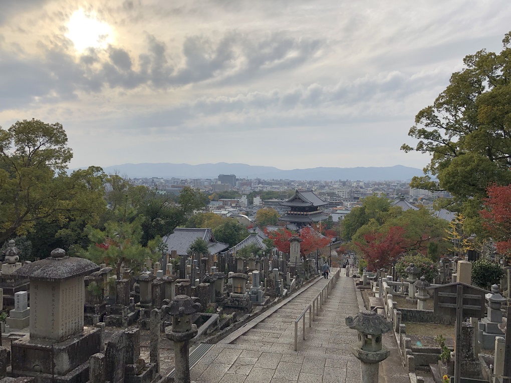 墓所からの眺めの写真
