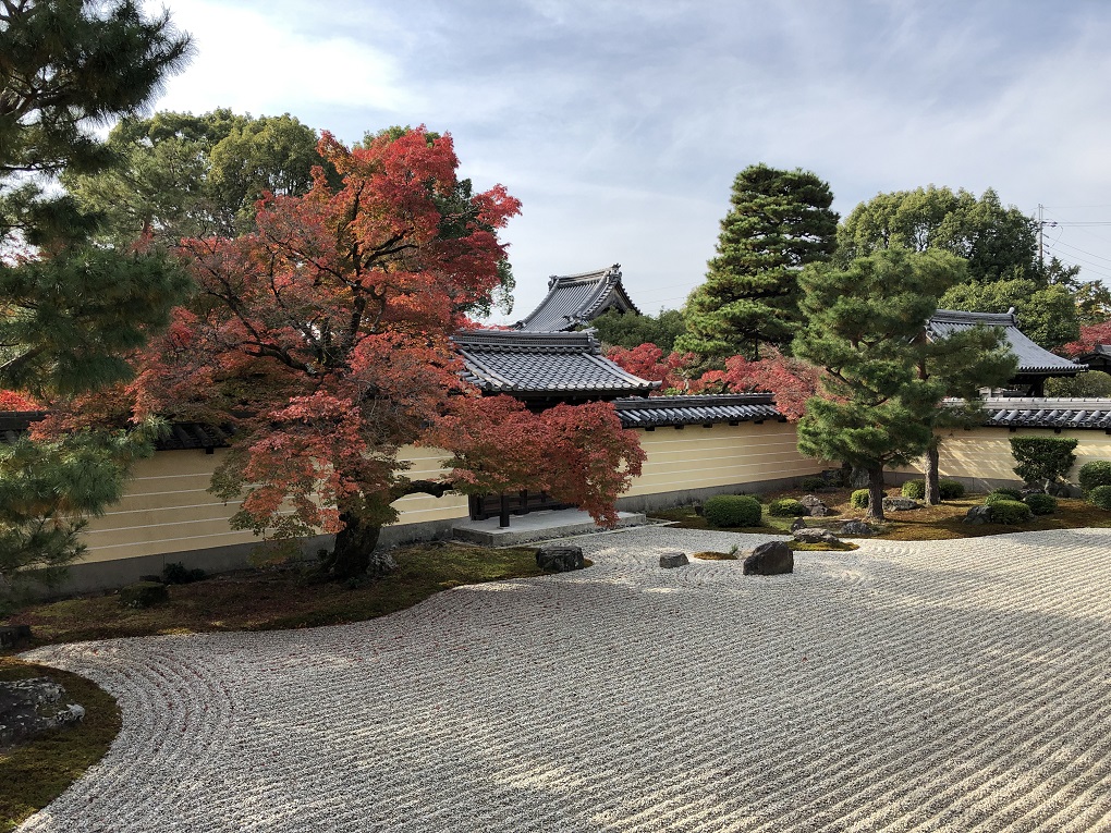 枯山水庭園の写真