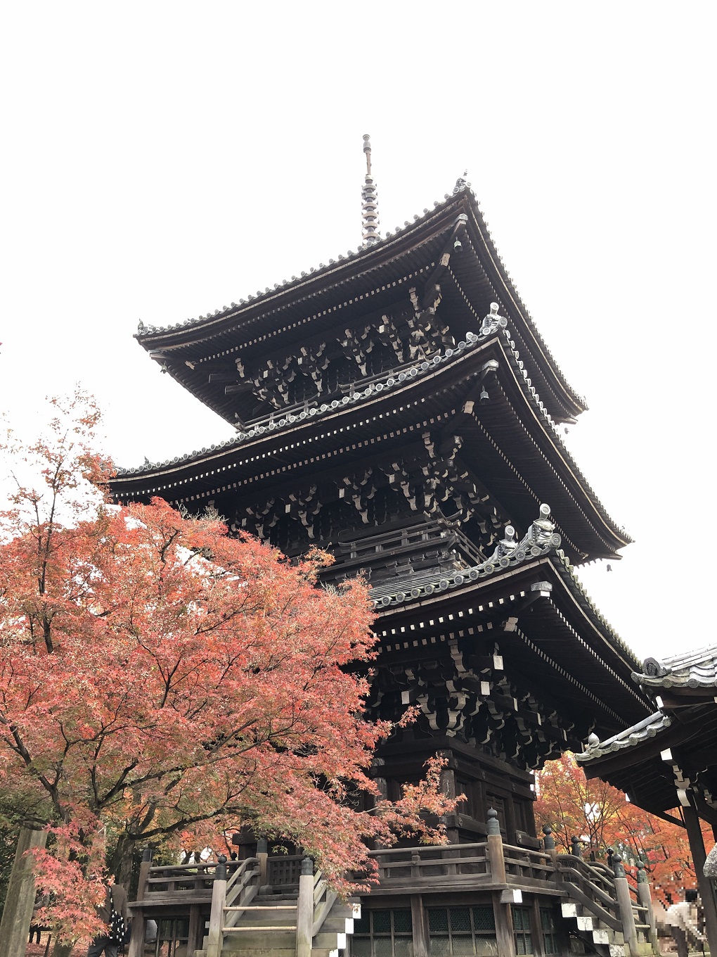 真正極楽寺（真如堂）の写真