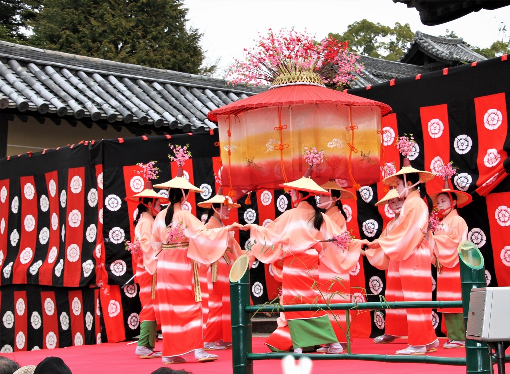はねず踊りの写真