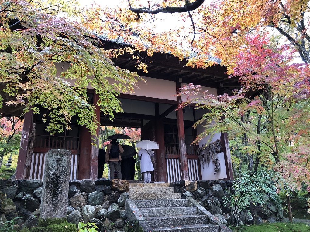 常寂光寺の写真