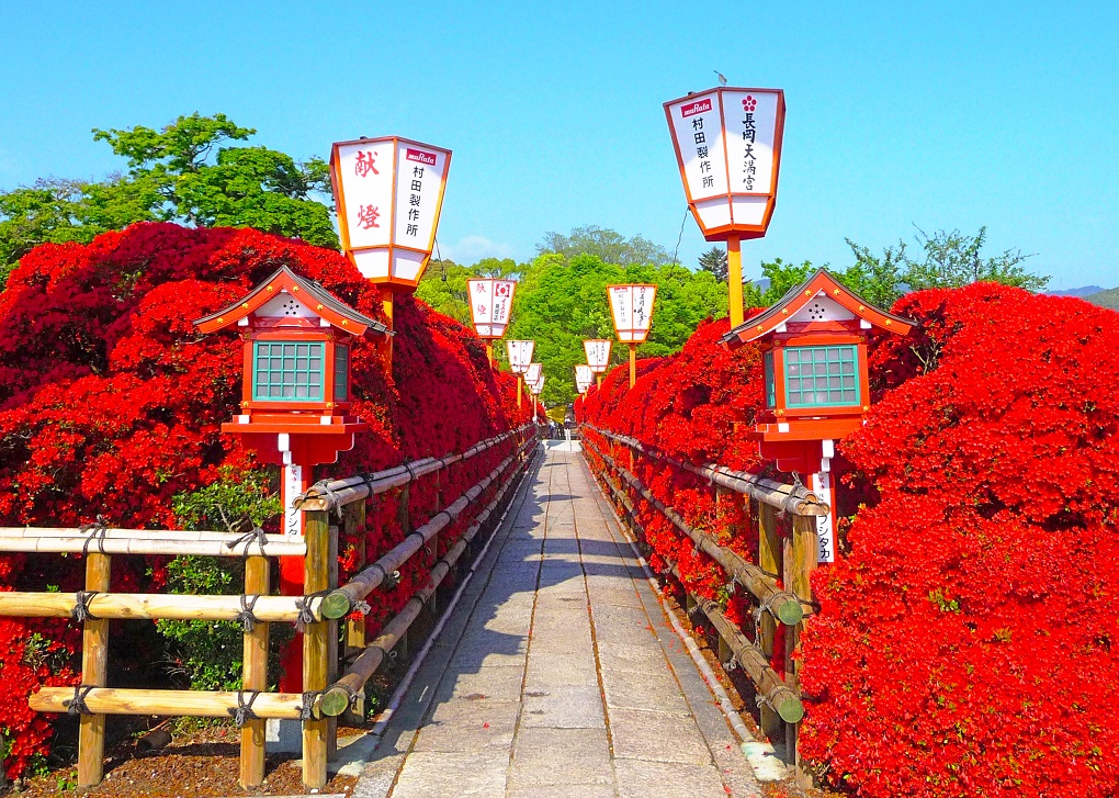 長岡天満宮の写真