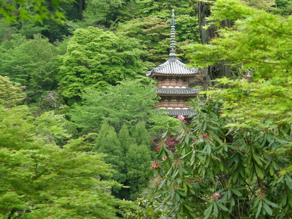 三重塔の写真