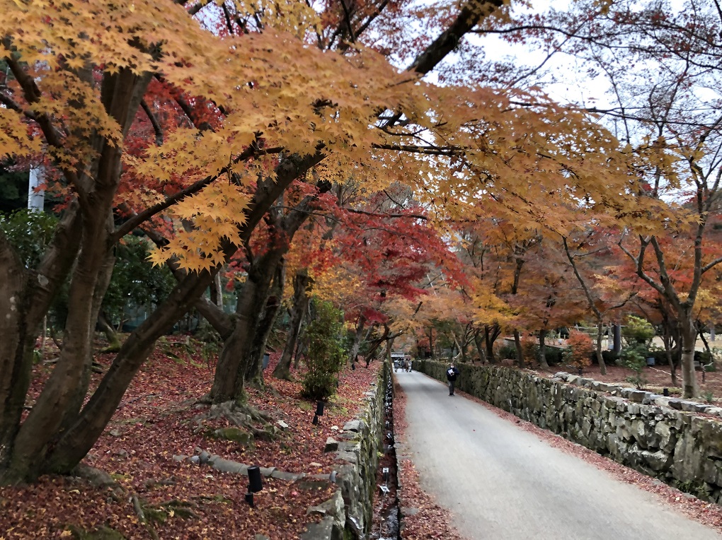 琴坂の写真