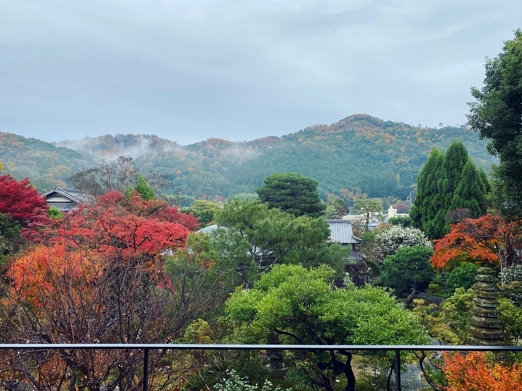 美術館2Fからの東山眺望の写真