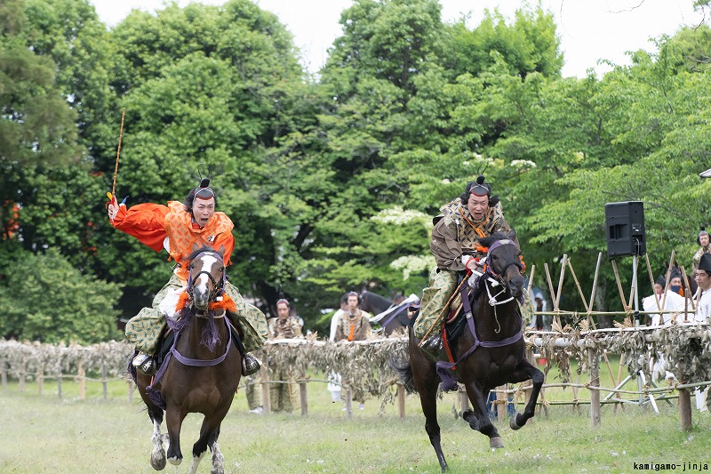 賀茂競馬の写真