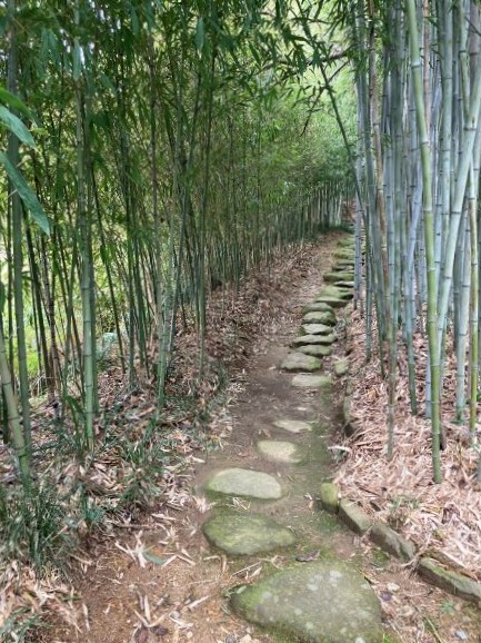 京都市洛西竹林公園の写真