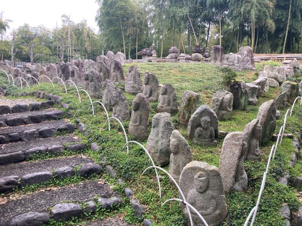 京都市洛西竹林公園の写真