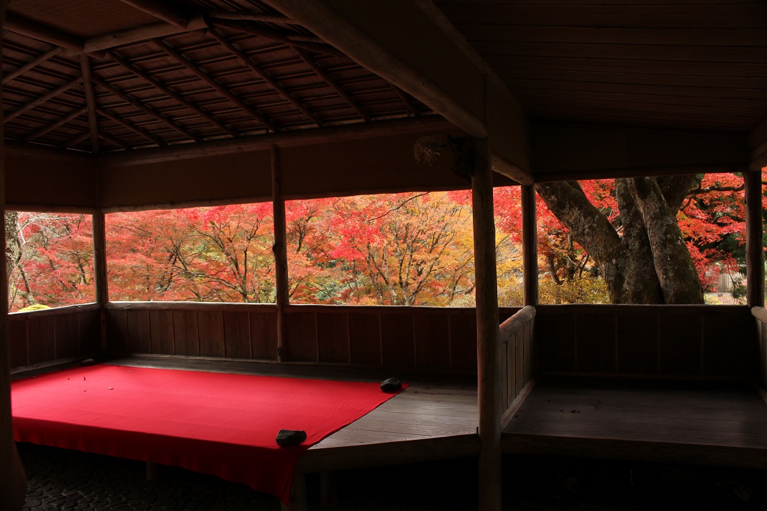 鴬亭の額縁紅葉の写真