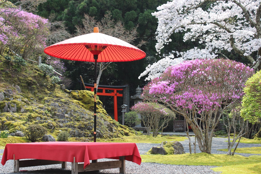 白龍園の写真
