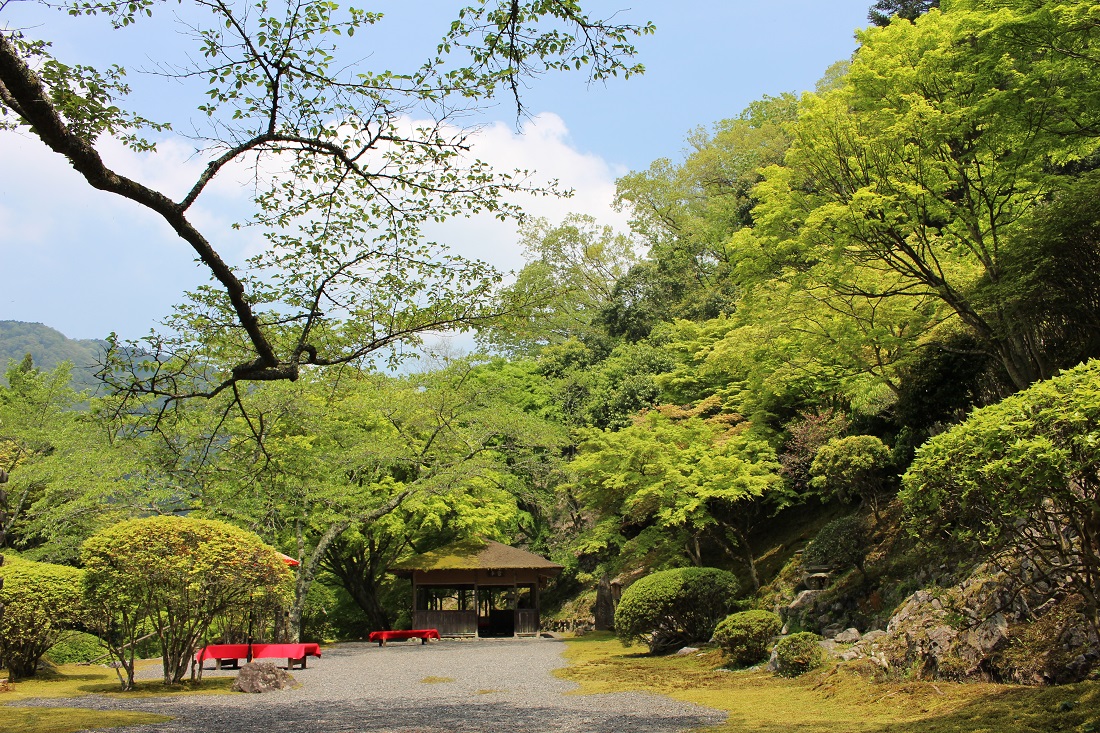 新緑の白龍園の写真