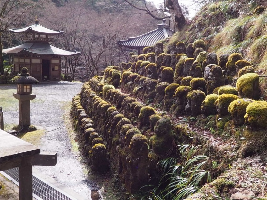 愛宕念仏寺 境内の写真
