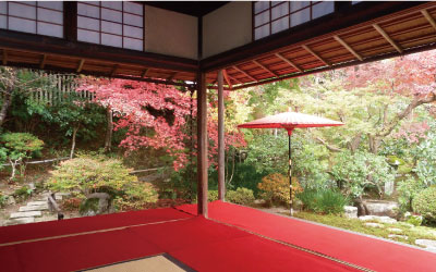 茶室「御園亭」の写真