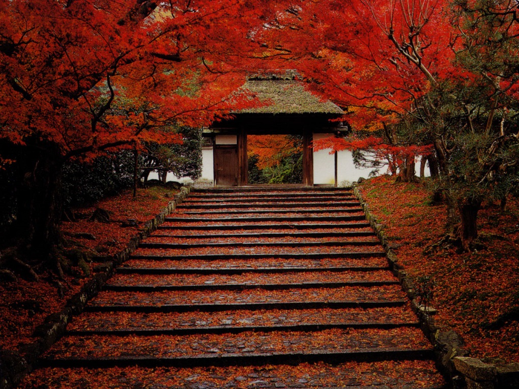 安楽寺の写真