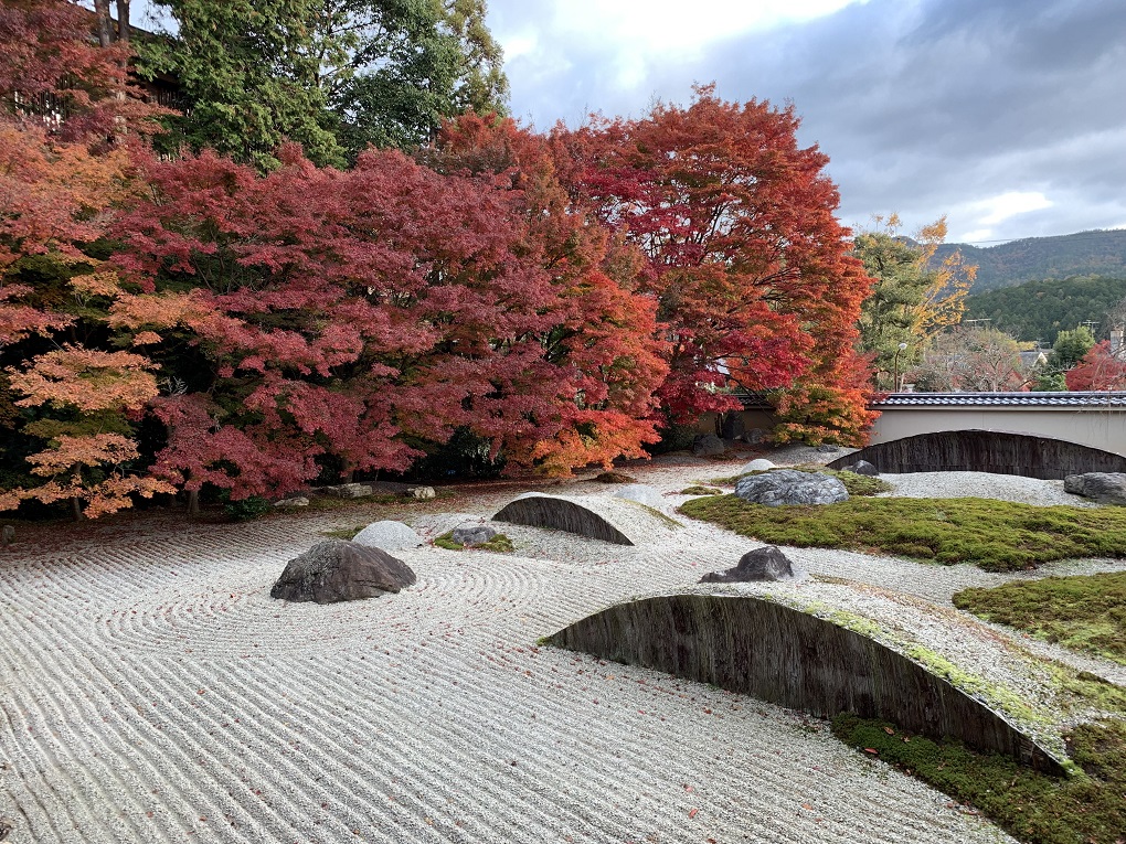 石庭の写真