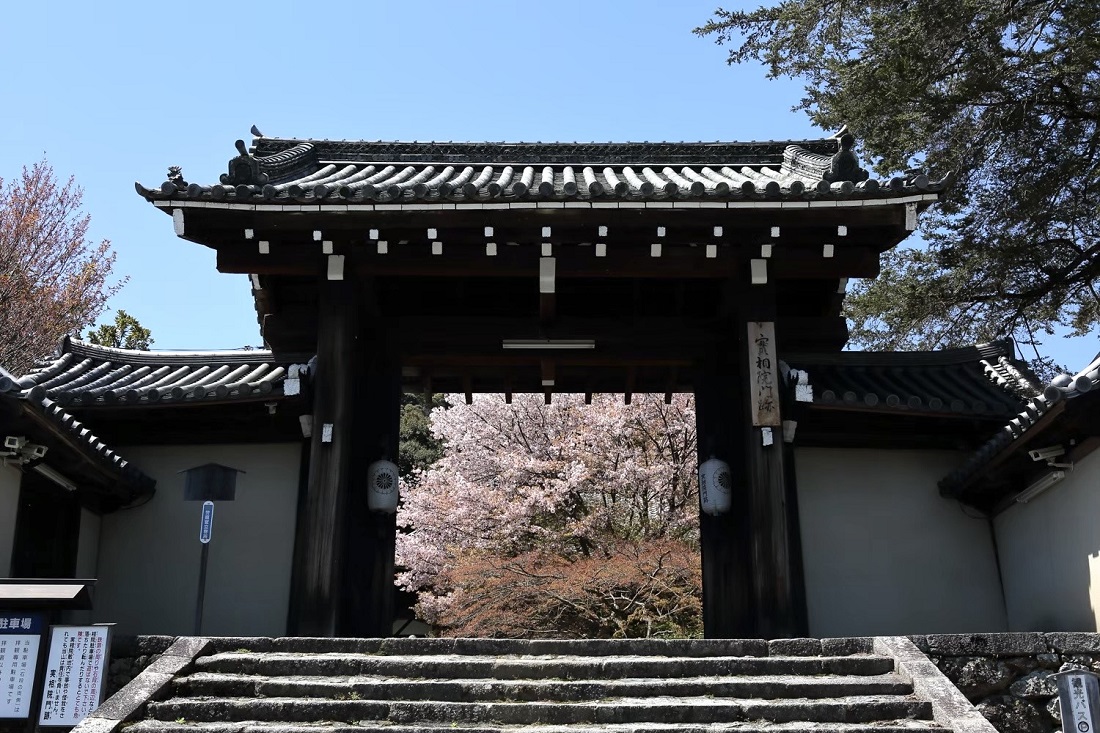山門と桜の写真